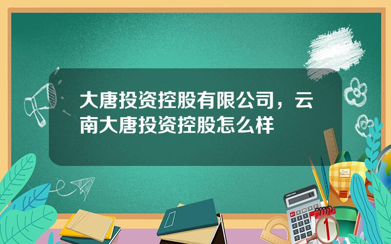 大唐投资控股有限公司，云南大唐投资控股怎么样