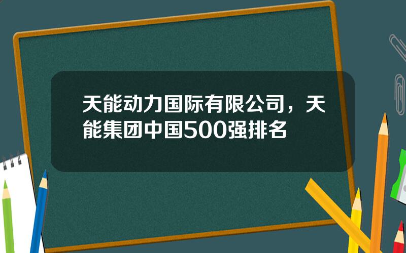 天能动力国际有限公司，天能集团中国500强排名