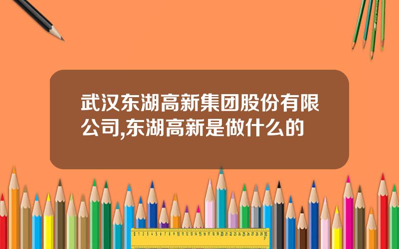 武汉东湖高新集团股份有限公司,东湖高新是做什么的