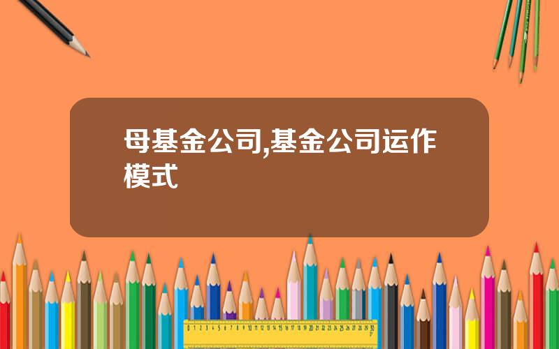 母基金公司,基金公司运作模式