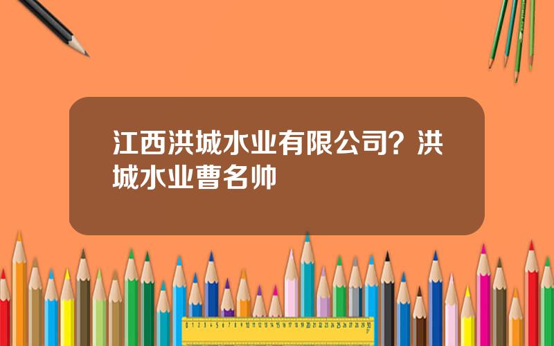 江西洪城水业有限公司？洪城水业曹名帅