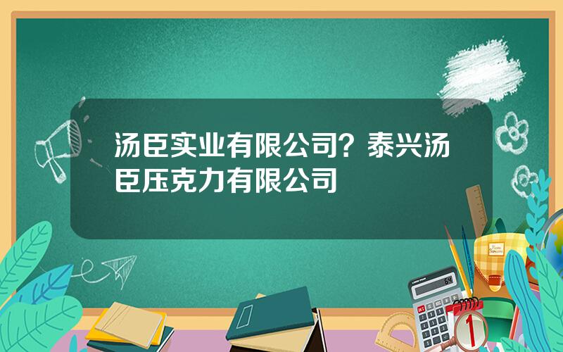 汤臣实业有限公司？泰兴汤臣压克力有限公司