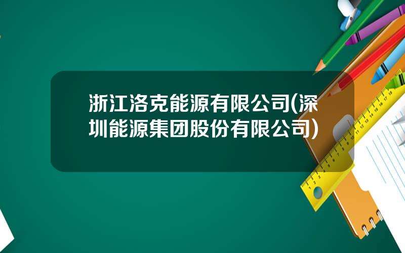 浙江洛克能源有限公司(深圳能源集团股份有限公司)