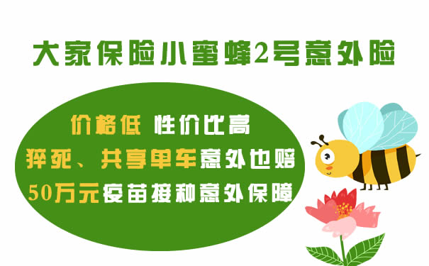 王者意外险归来!小蜜蜂2号保什么-值得买吗-奉上优缺点分析