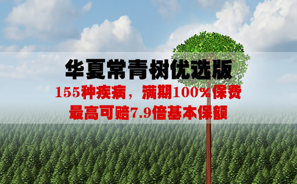 华夏常青树优选版怎么样？期满返还多少钱？费率＋案例演示